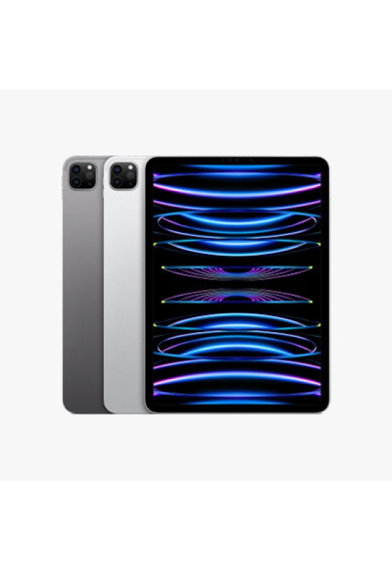 iPad Pro